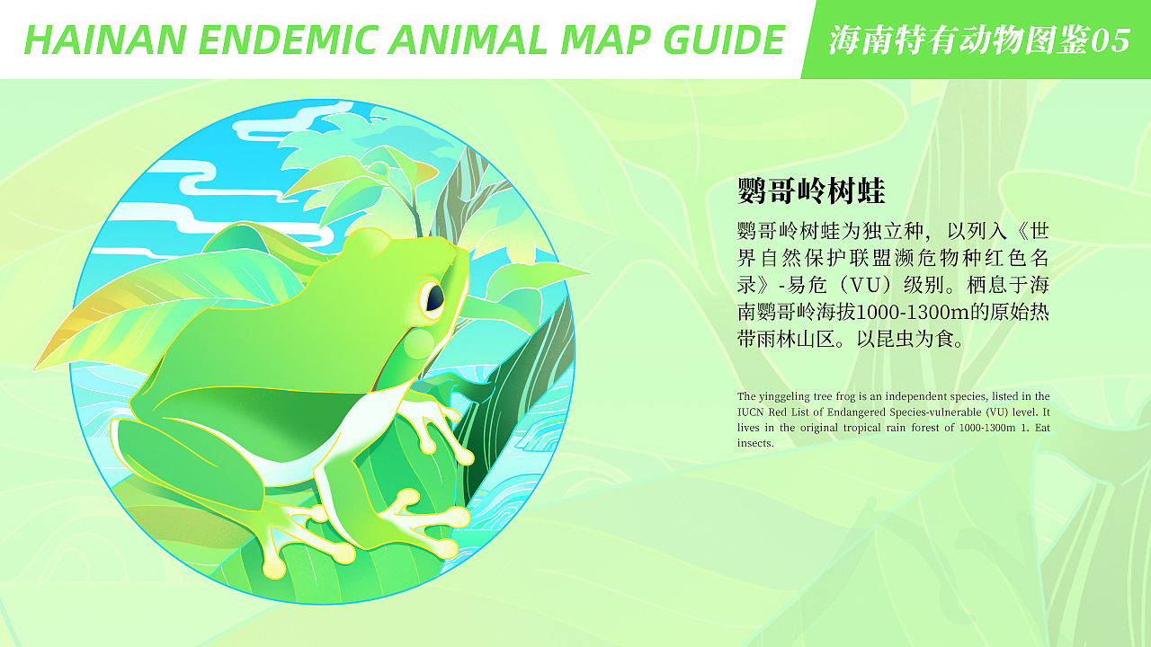 中国风潮流插画丨海南特有动物图鉴
