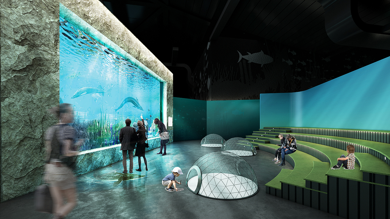 绍兴淡水鱼水族馆设计施工方案