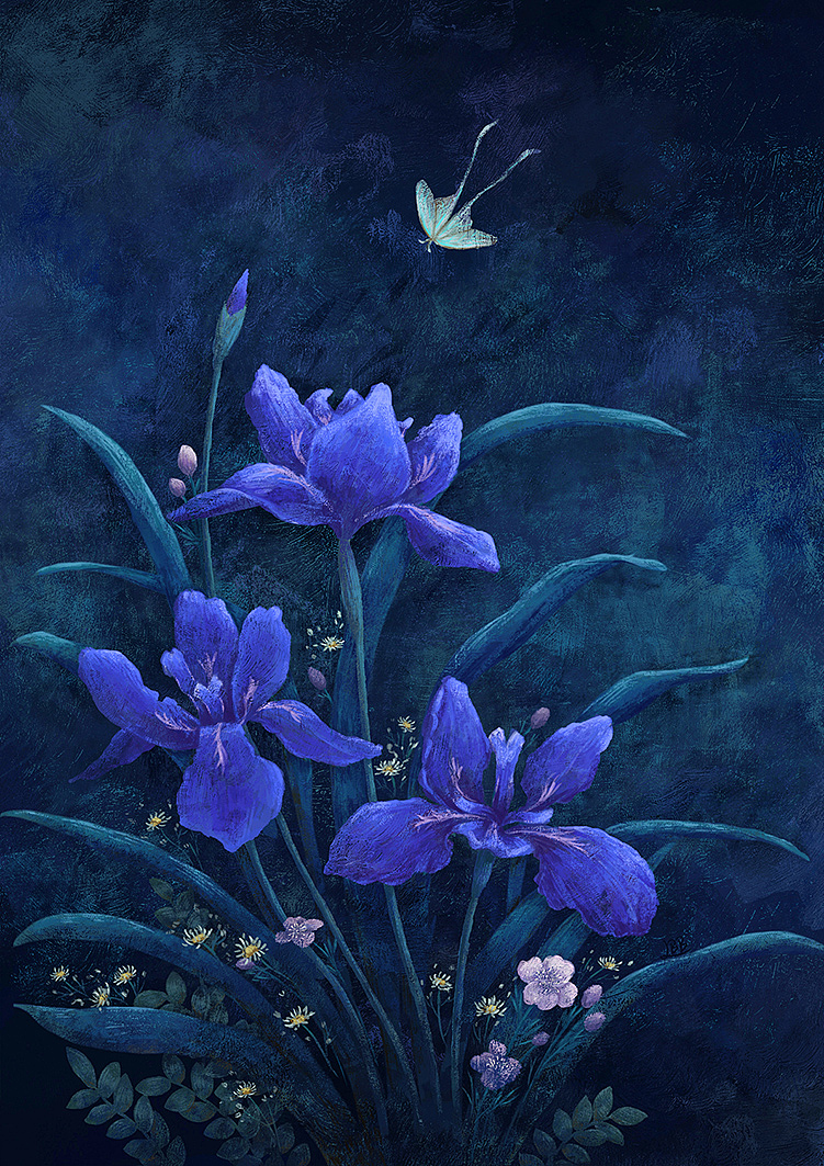 鸢尾花（图ZMjk3MjExNjA4） - 商业插画 - 站酷设计师米茶蜜茶原创素材 - 站酷ZCOOL