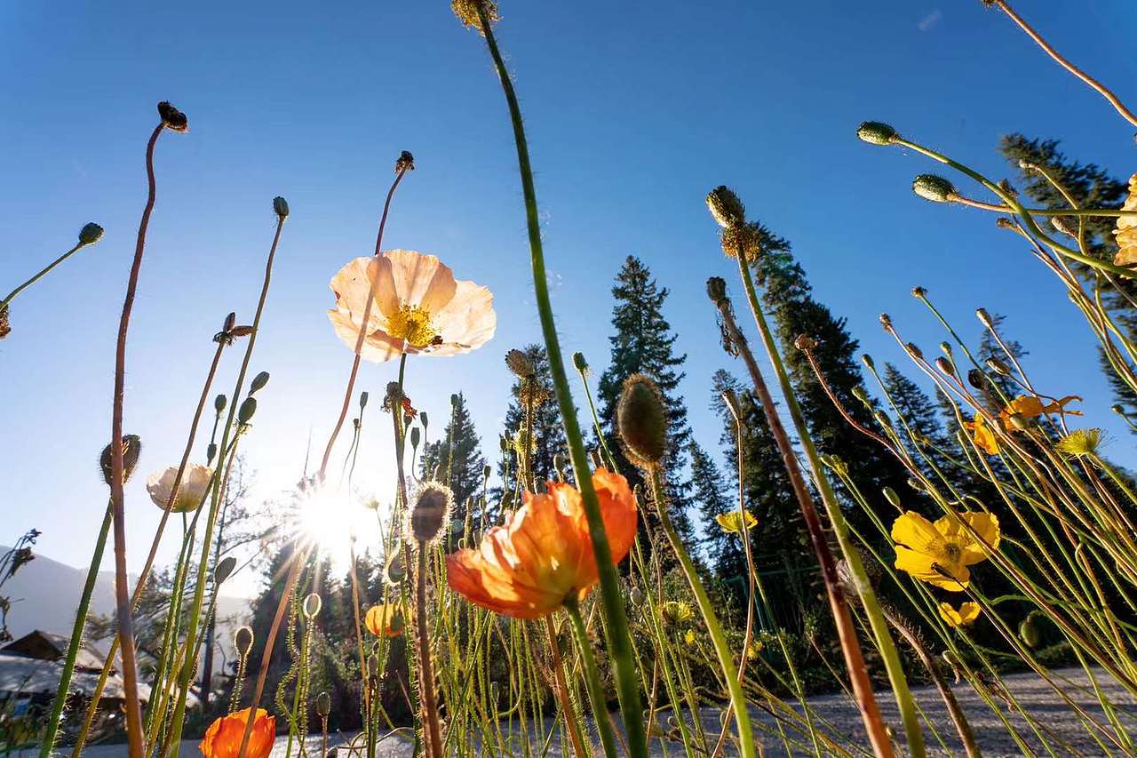 风光2（图ZMzU3NjkwNTIw） - 风光摄影 - 站酷设计师税翔原创素材 - 站酷ZCOOL