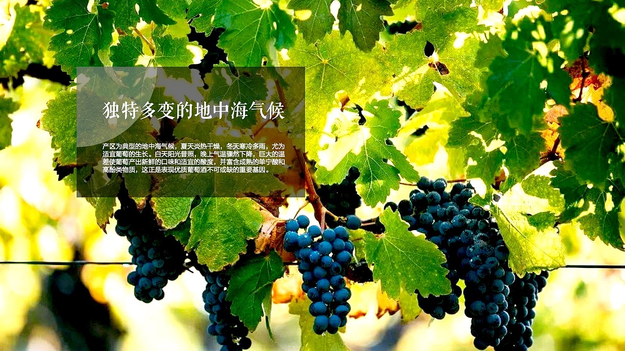 T.D.P案例丨智利28°葡萄酒包装设计