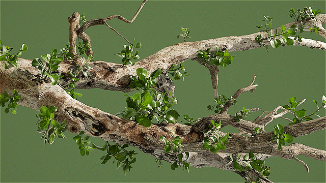 猫王音响动画案例练习