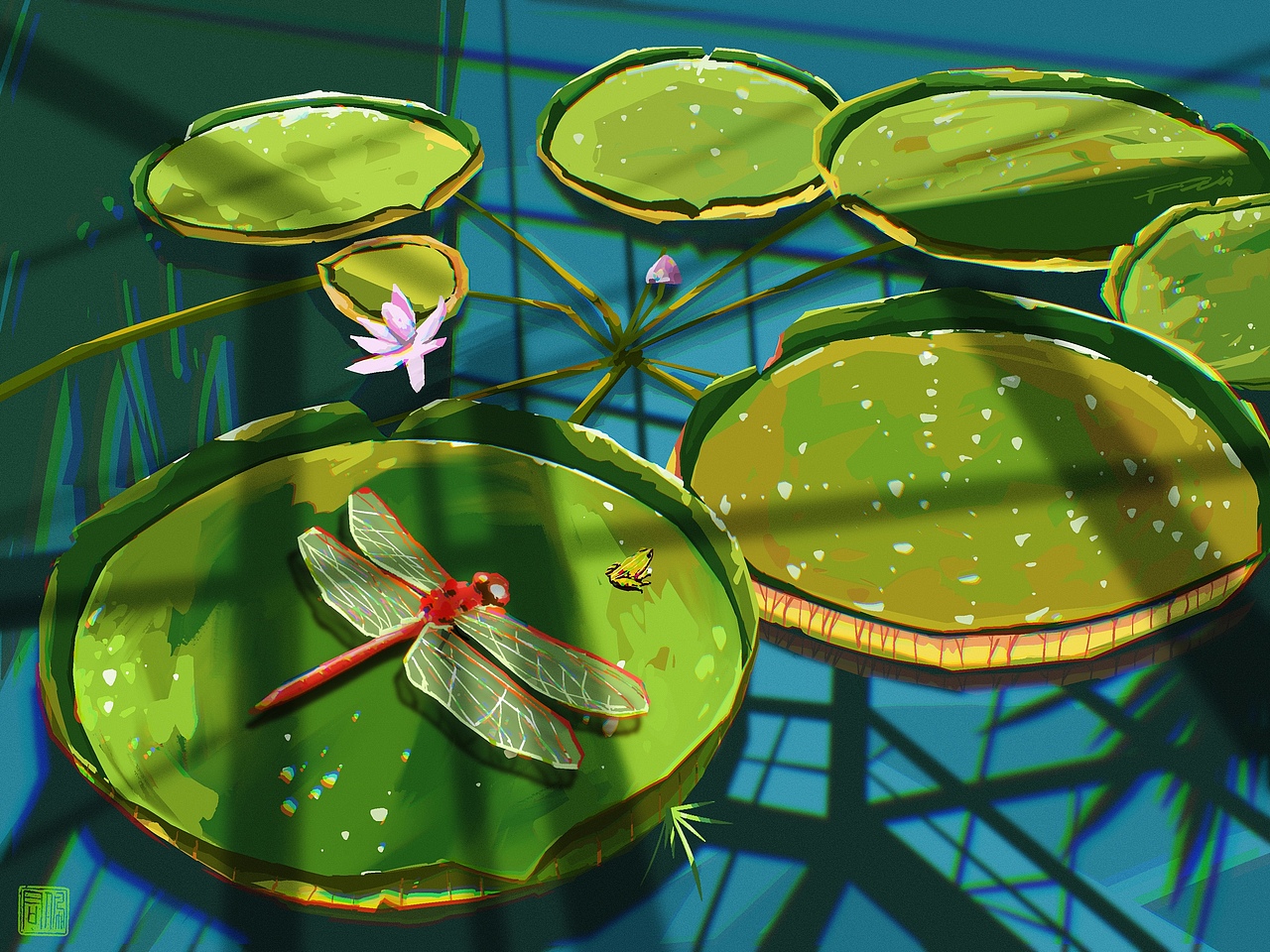 在植物园第一次看到王莲。