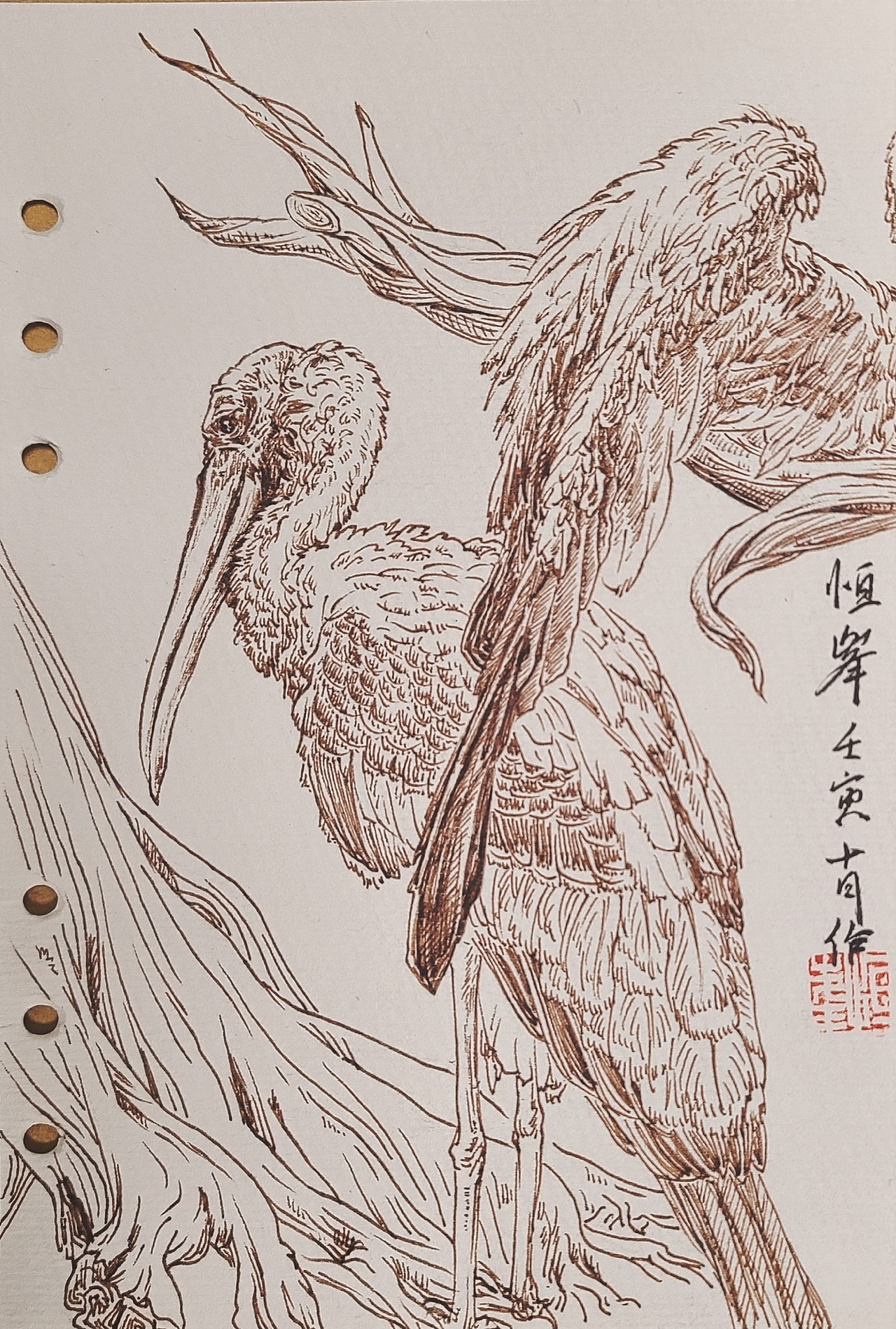 针管笔绘画（动物）（图ZMzI1MDk0Nzg4） - 绘画 - 站酷设计师恒峰峰峰原创素材 - 站酷ZCOOL