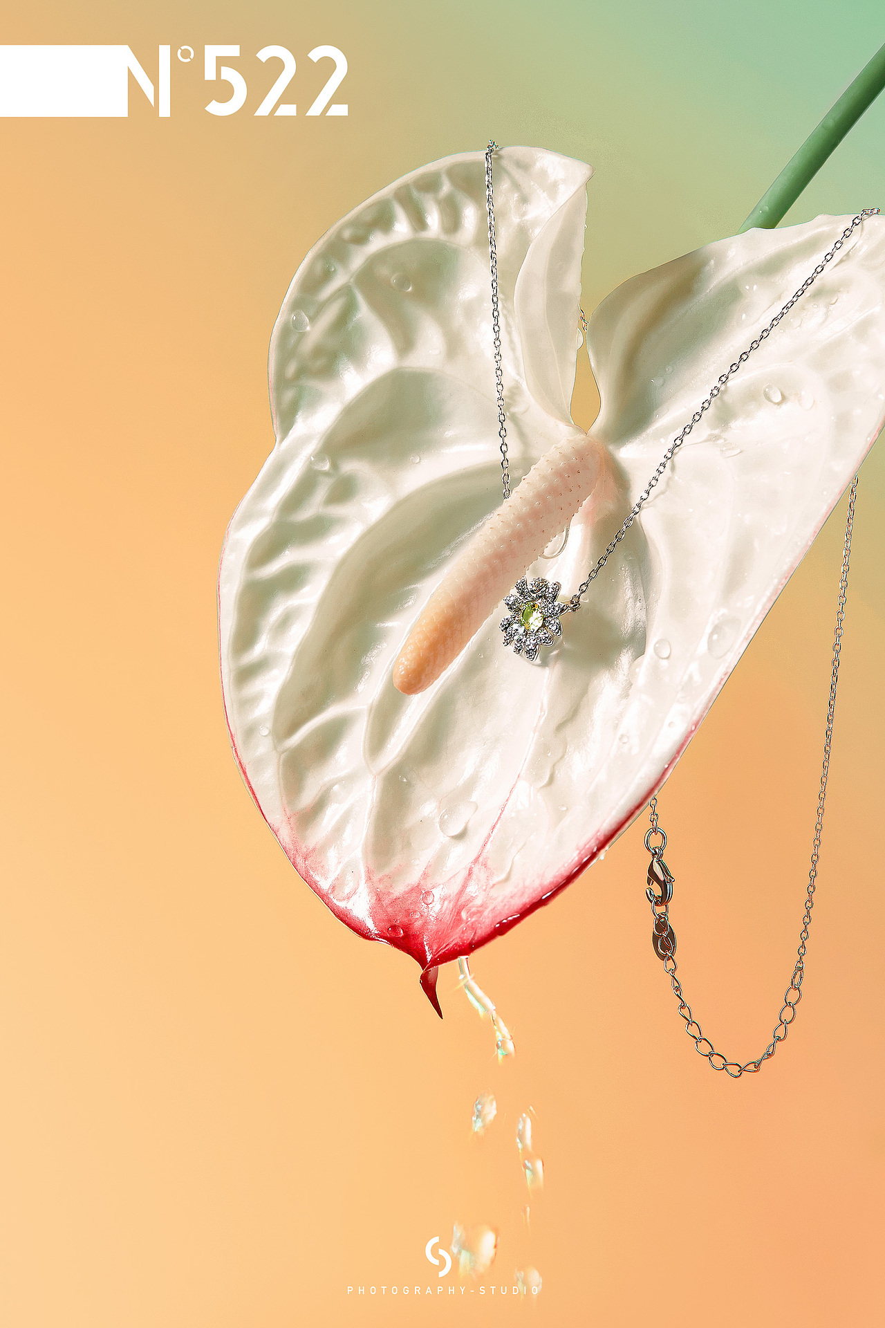 首饰摄影 | 自然幻想 X 花灵秘境