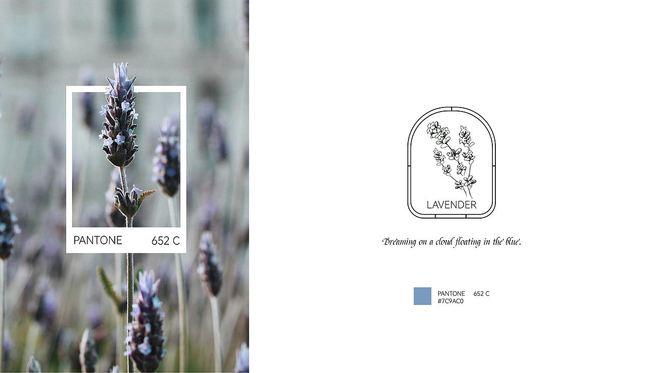 room4133品牌升级+产品包装设计