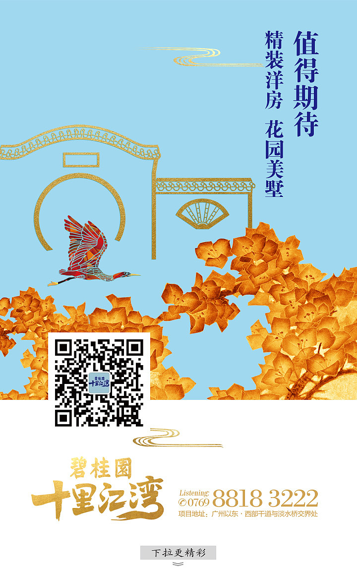 手机端网站作品集