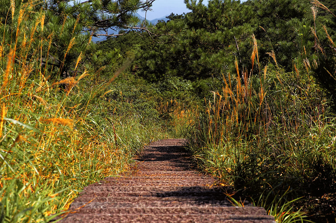 风光摄影系列2（图ZMzUyMDA3MTI4） - 风光摄影 - 站酷设计师莫潘原创素材 - 站酷ZCOOL