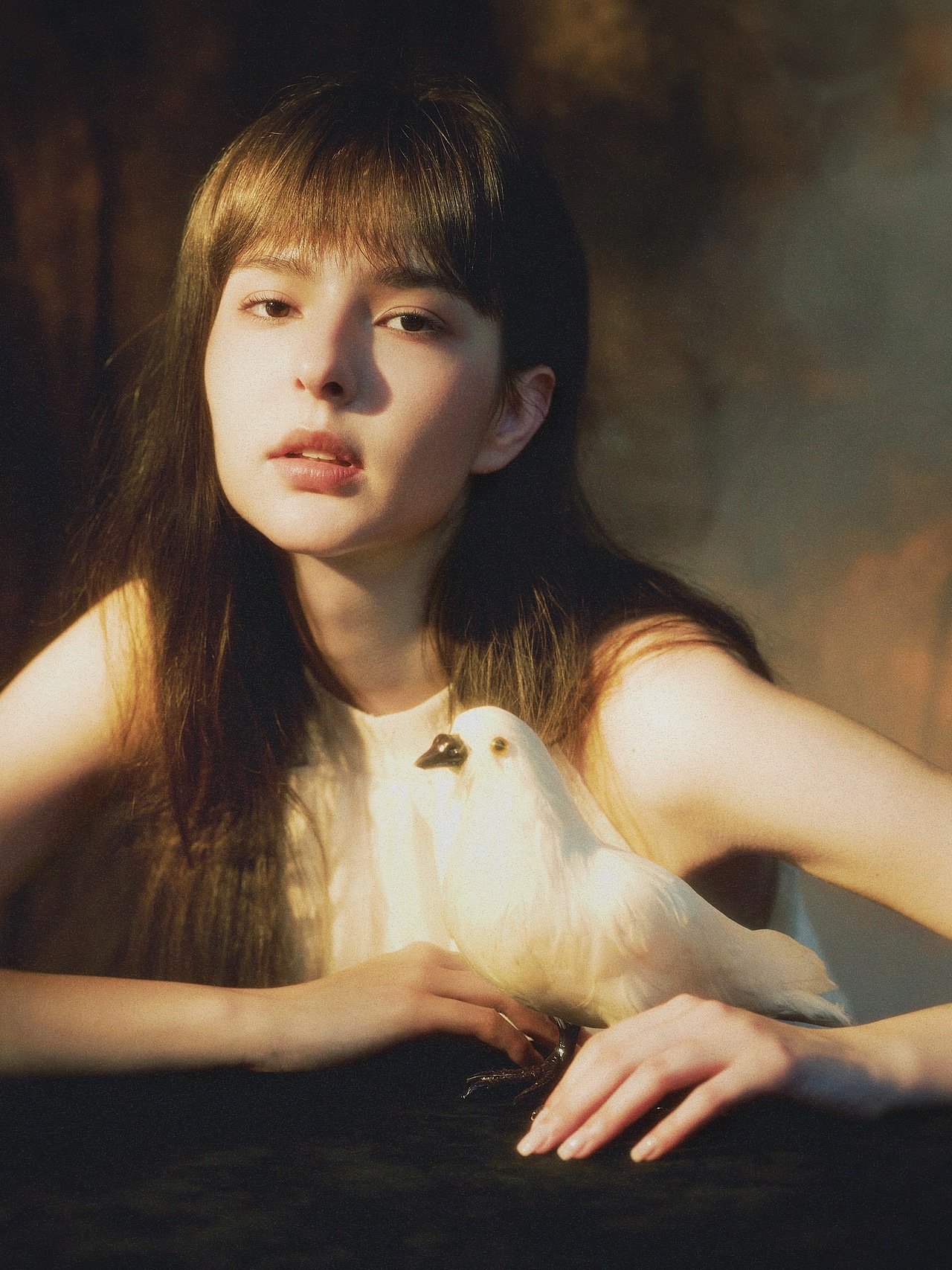 * 爱的力量是和平