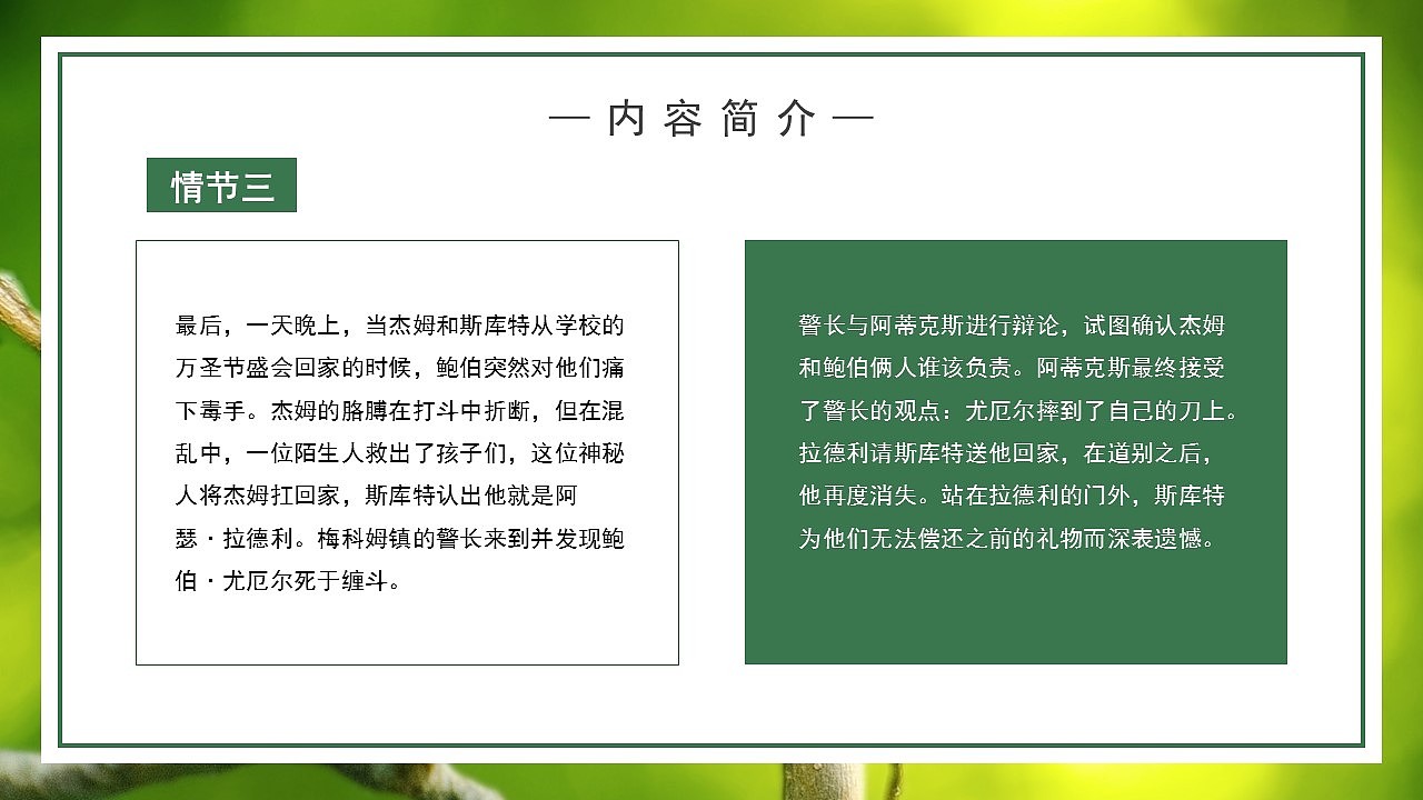 名著导读《杀死一只知更鸟》读书分享PPT模板