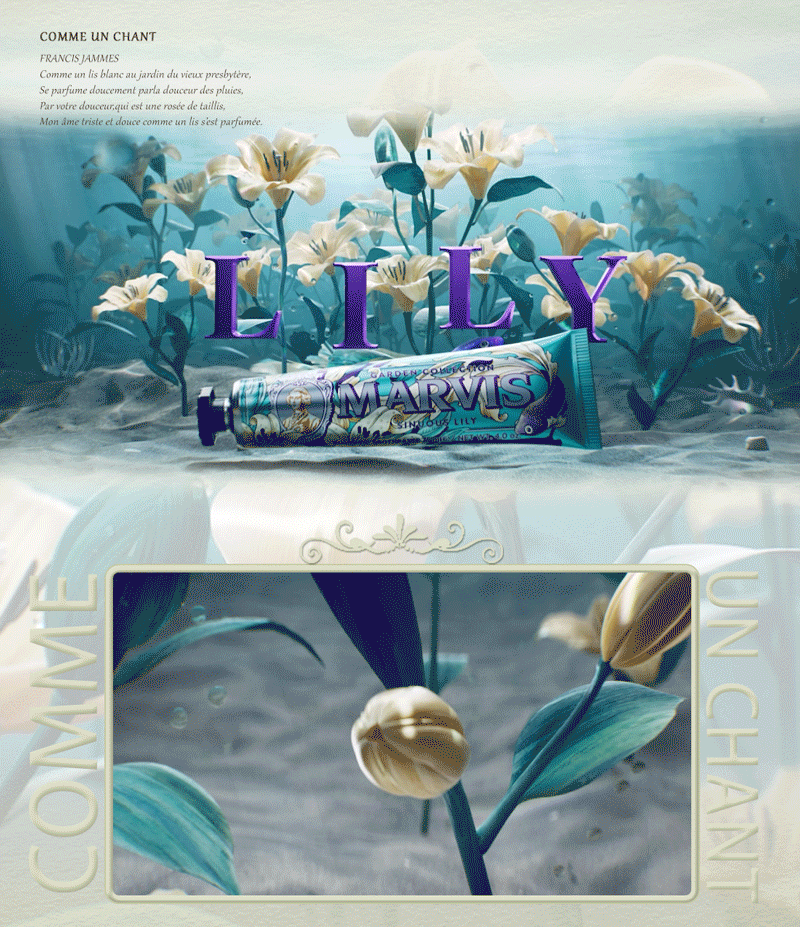 MARVIS限定花园系列：入梦繁花诗篇（图ZMzUyODA1ODQw） - 动画/影视 - 站酷设计师至幻蘑菇原创素材 - 站酷ZCOOL