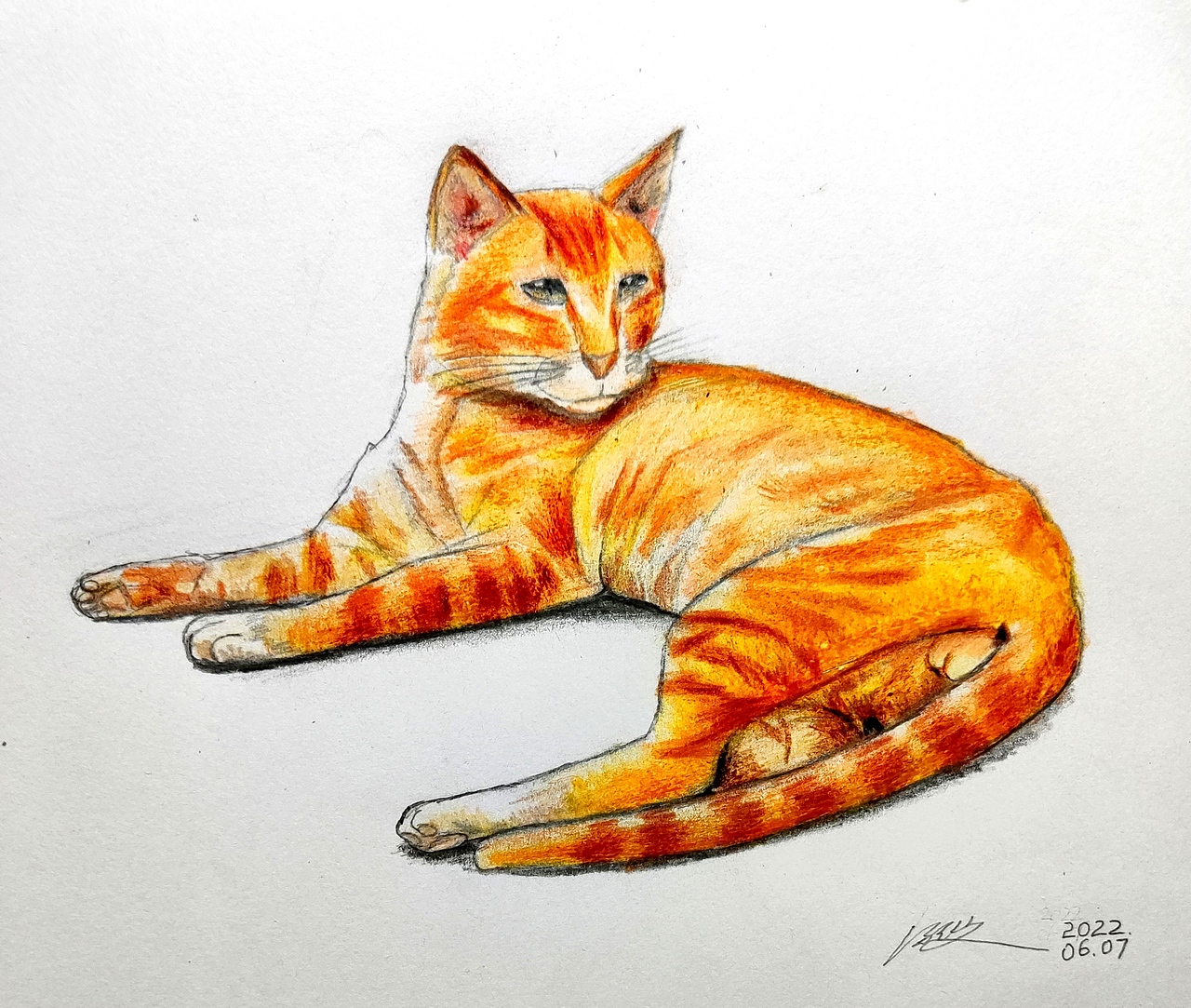 看得出这只大橘猫趴坐在地面
看似懒洋洋,但那对眼睛却是如此炯炯有神<br>再配合身上的像老虎般的棕色斑纹,更显虎一样的神气