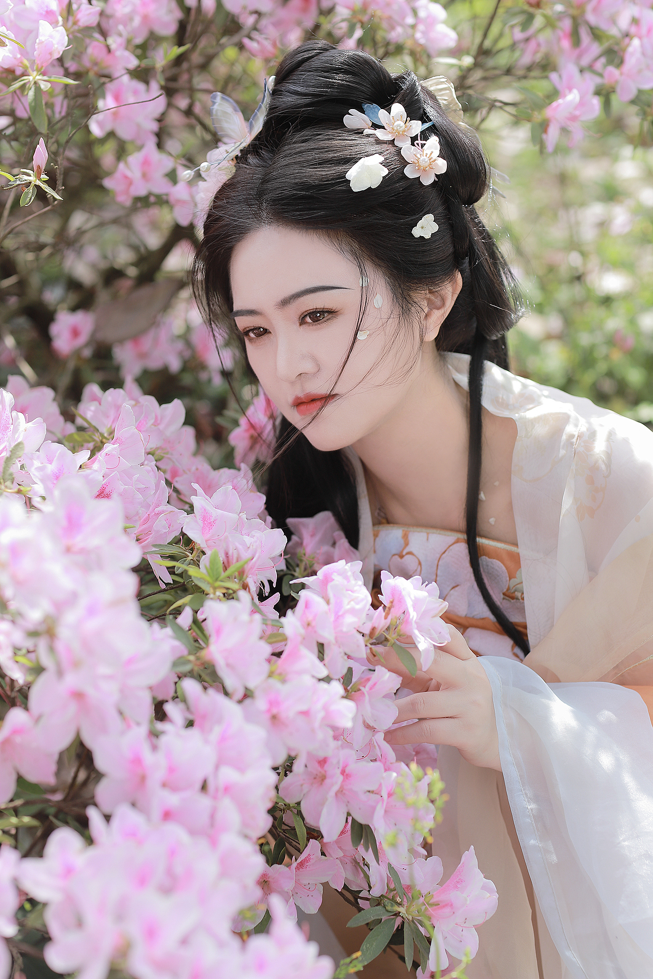 客片|杜鹃花汉服少女写真