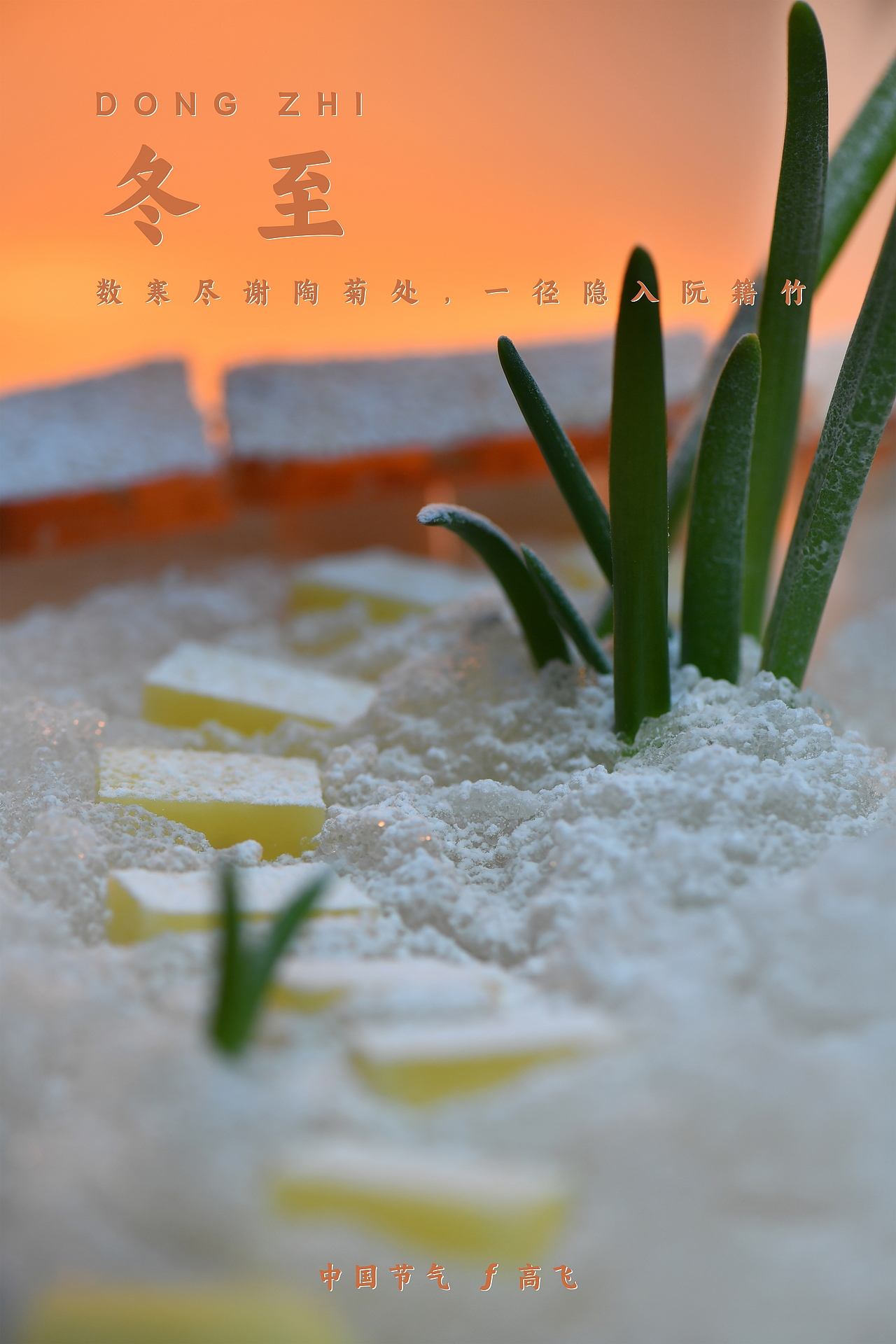 【中国节气】冬至（图ZMzU4MTgxNzk2） - 产品摄影 - 站酷设计师摄影师郜高飞原创素材 - 站酷ZCOOL