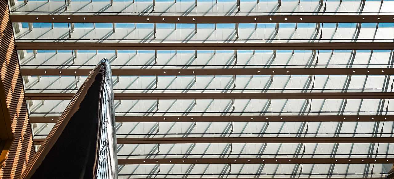 手机摄影 I 小米14Ultra I 上海图书馆东馆📚