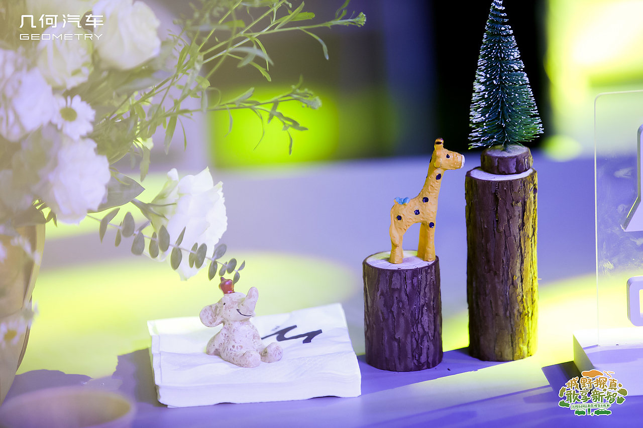 真智能 真安全 真续航 几何G6/M6南区双车上市