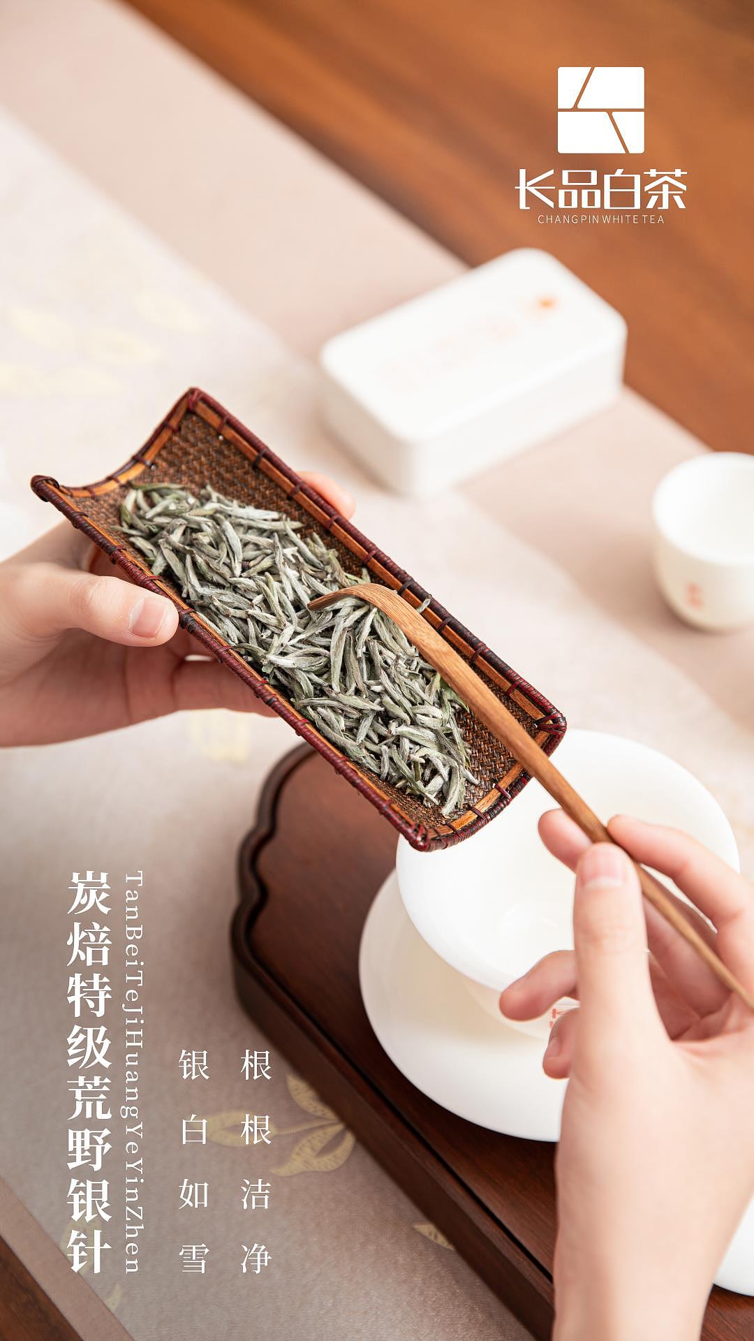 碳焙荒野银针————福鼎白茶产品摄影