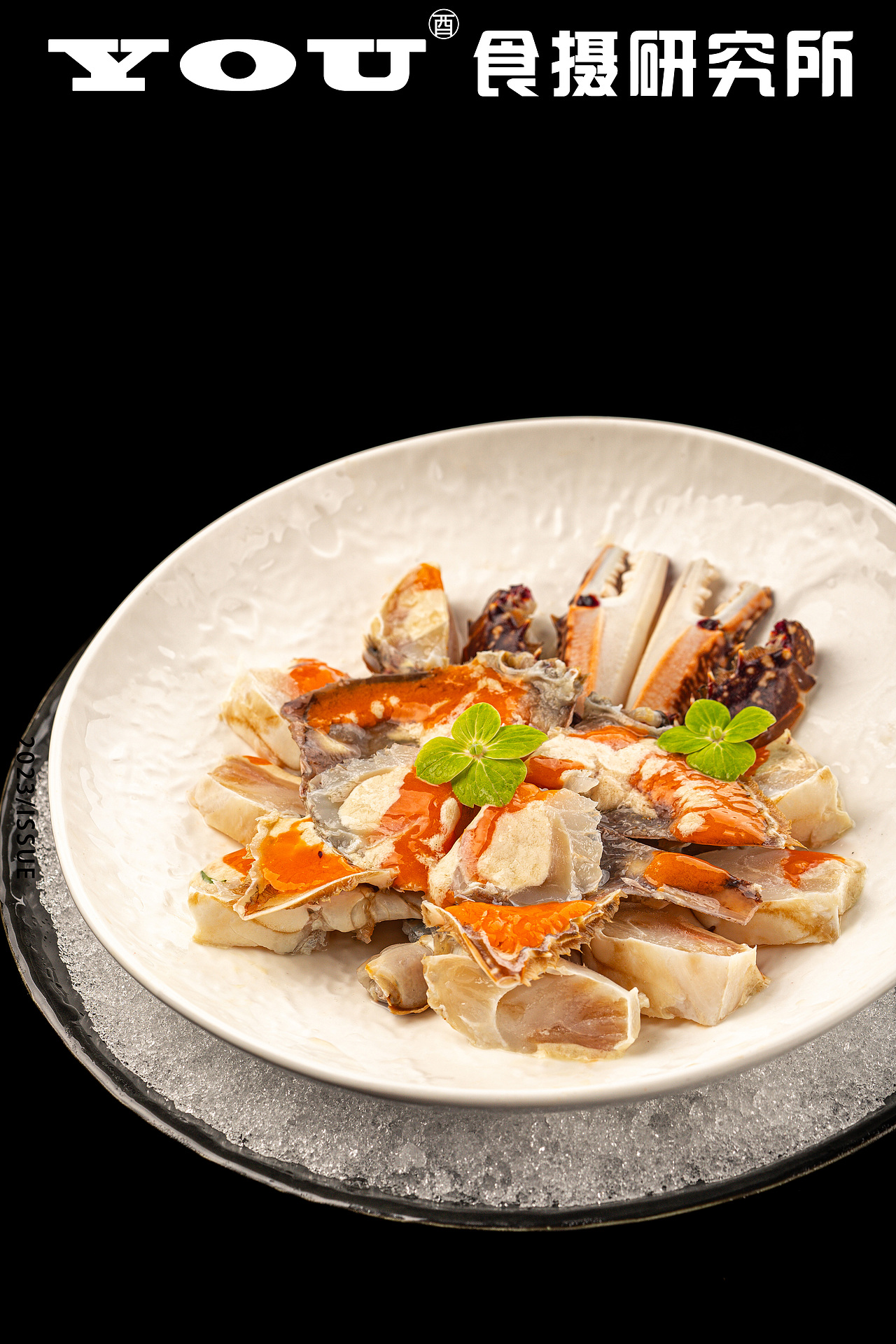 《青蝉海鲜工坊》餐饮菜单拍摄