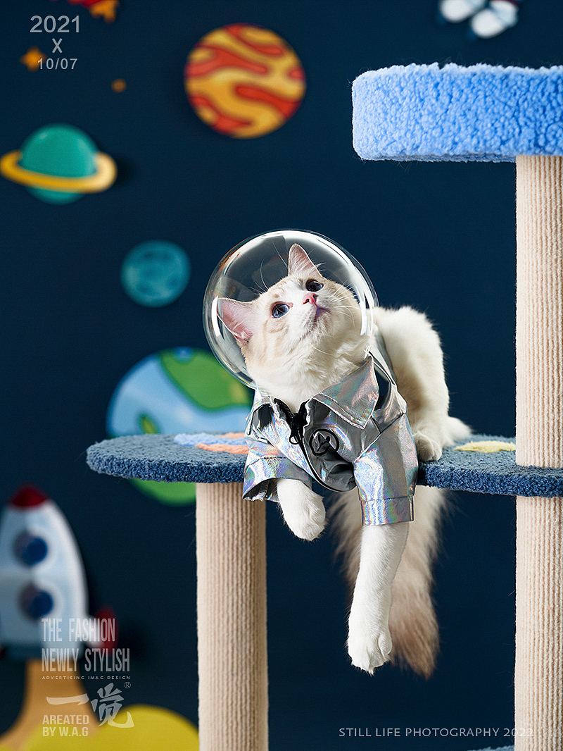 宠物用品拍摄|太空猫爬架（图ZMzAwNTExMzA0） - 产品摄影 - 站酷设计师开坦克的小笼包原创素材 - 站酷ZCOOL