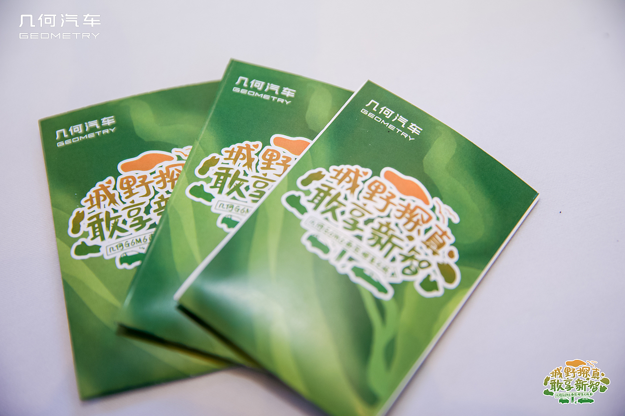 真智能 真安全 真续航 几何G6/M6南区双车上市