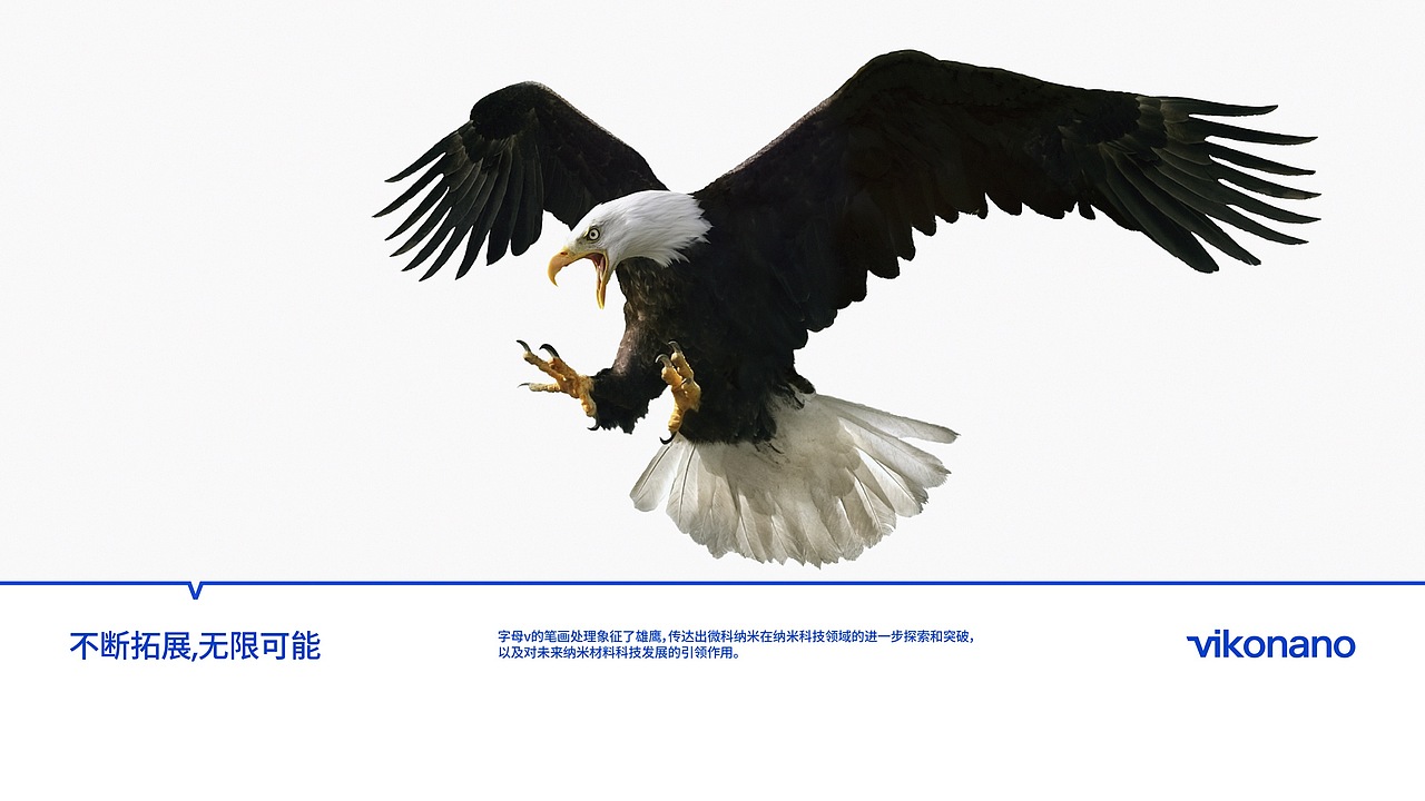 纳米材料企业logo设计、vi设计提案 | 空格品牌