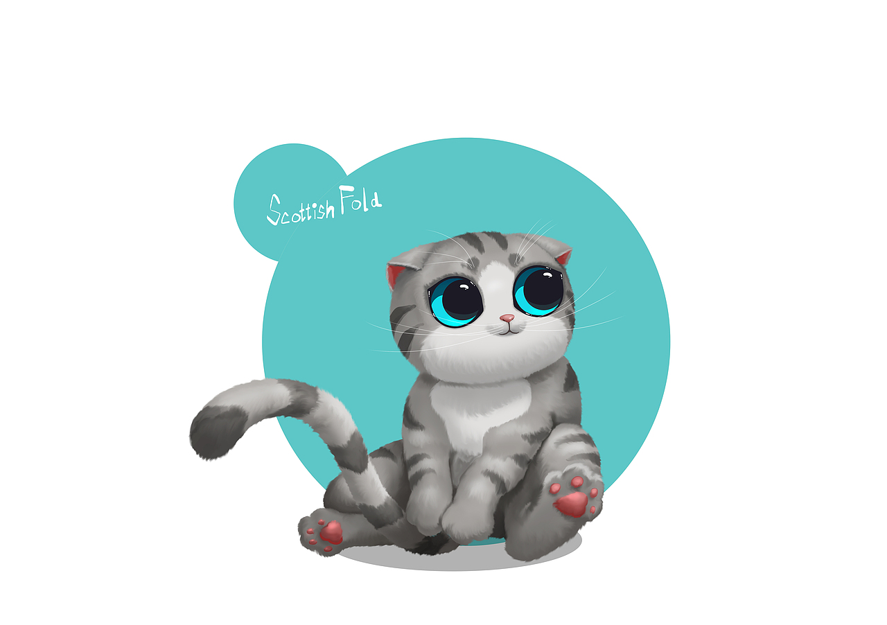 系列猫咪原画-加菲,布偶,波斯,黑猫,暹罗,折耳