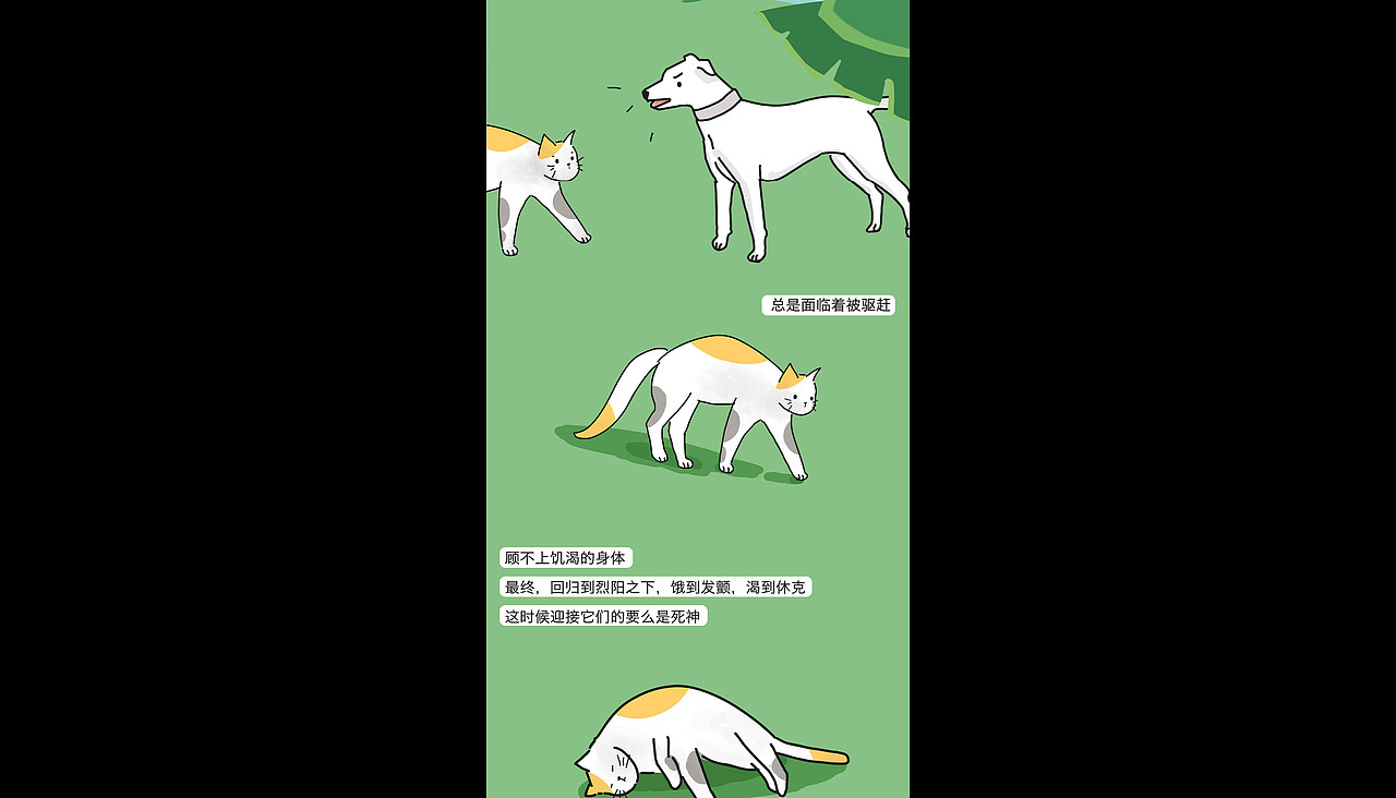 条漫《流浪猫的夏天》