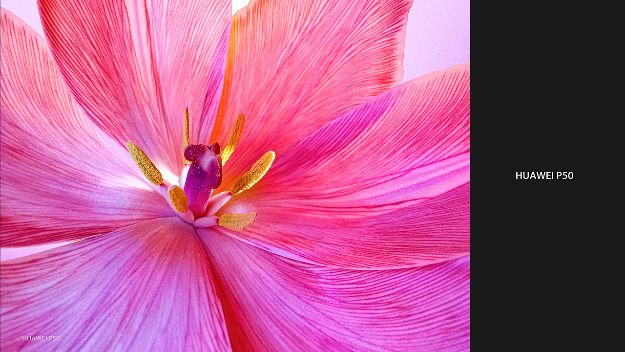 华为P50海外版手机样张拍摄