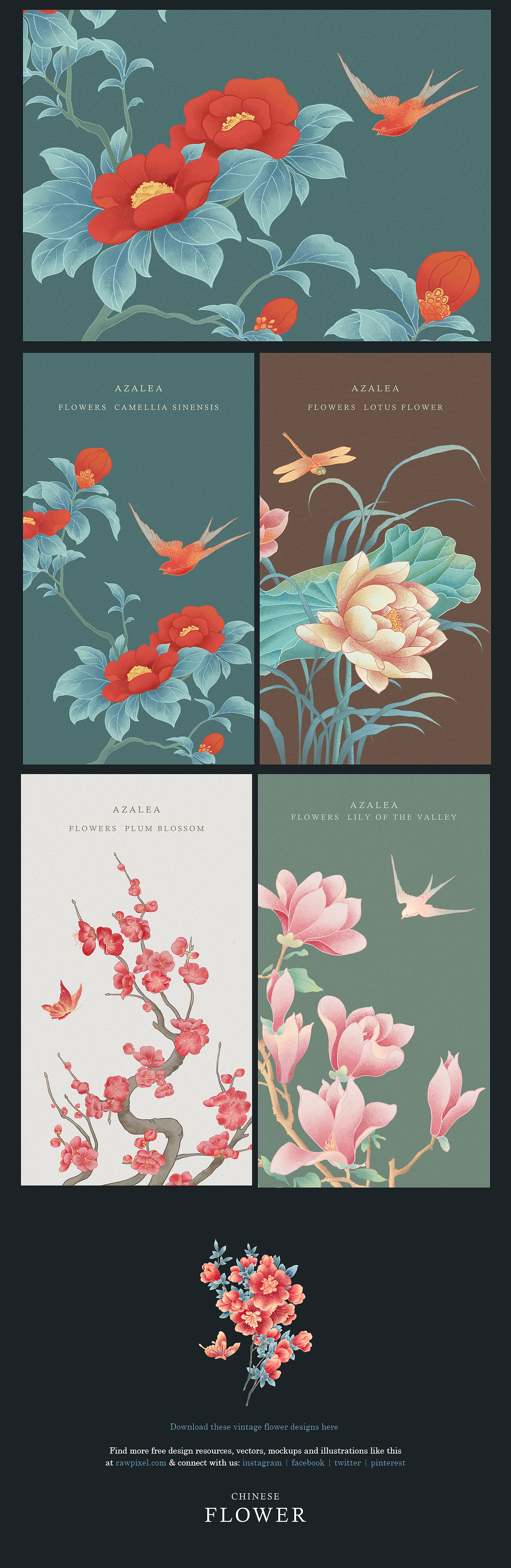 十大名花-花与蝶系列