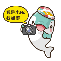 摄影馆IP海豚形象设计及表情包【泰而美动漫】（图ZMzQyODY1MzI4） - 网络表情 - 站酷设计师泰而美动漫原创素材 - 站酷ZCOOL