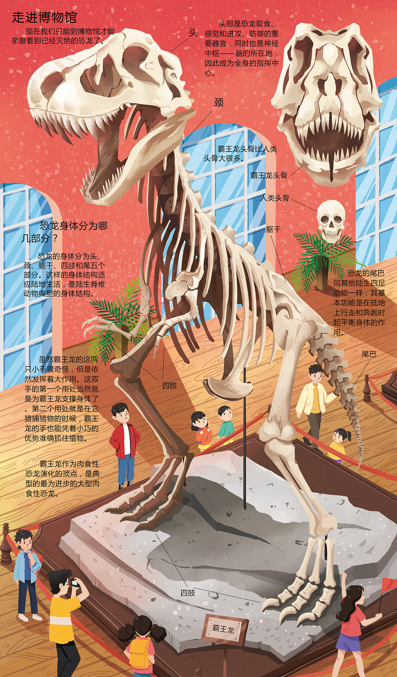 《揭秘恐龙》翻翻书