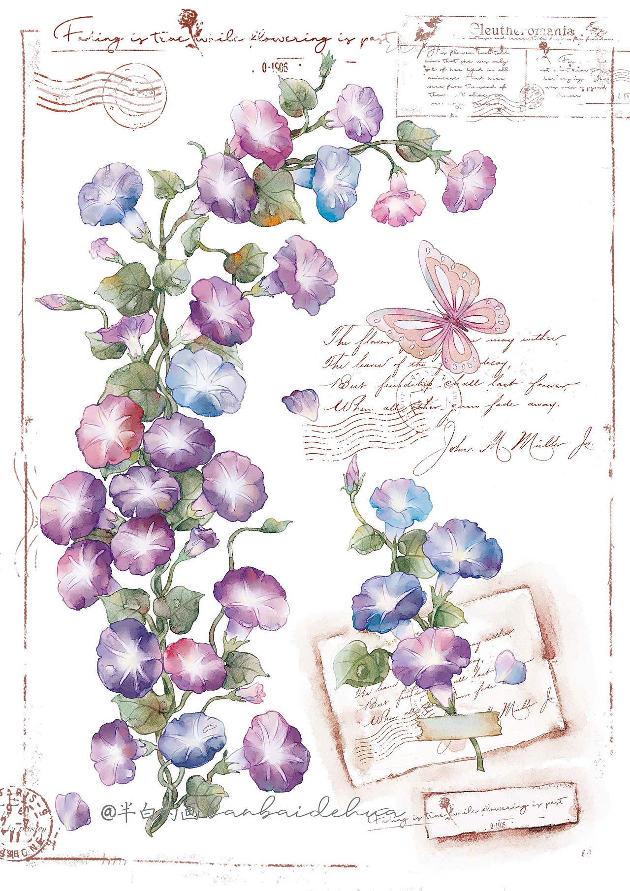 植物花卉图鉴插画