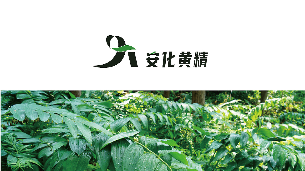 logo设计提案（图ZMzMxMjc4MTAw） - 其他 - 站酷设计师红红的小屋原创素材 - 站酷ZCOOL