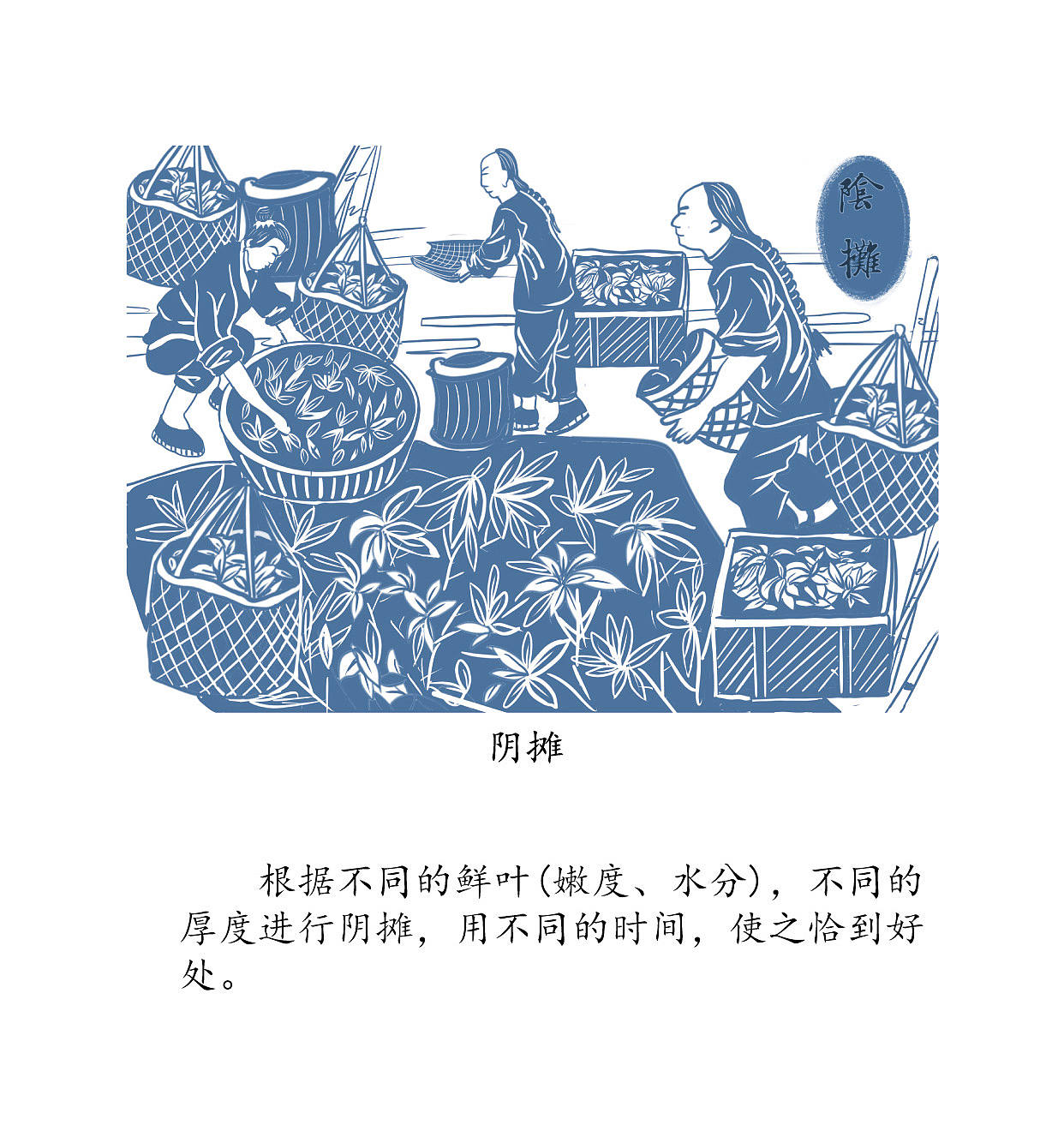 九曲红梅剪纸风格插画（图ZMzAwMzgzMzYw） - 商业插画 - 站酷设计师茶瓷说原创素材 - 站酷ZCOOL
