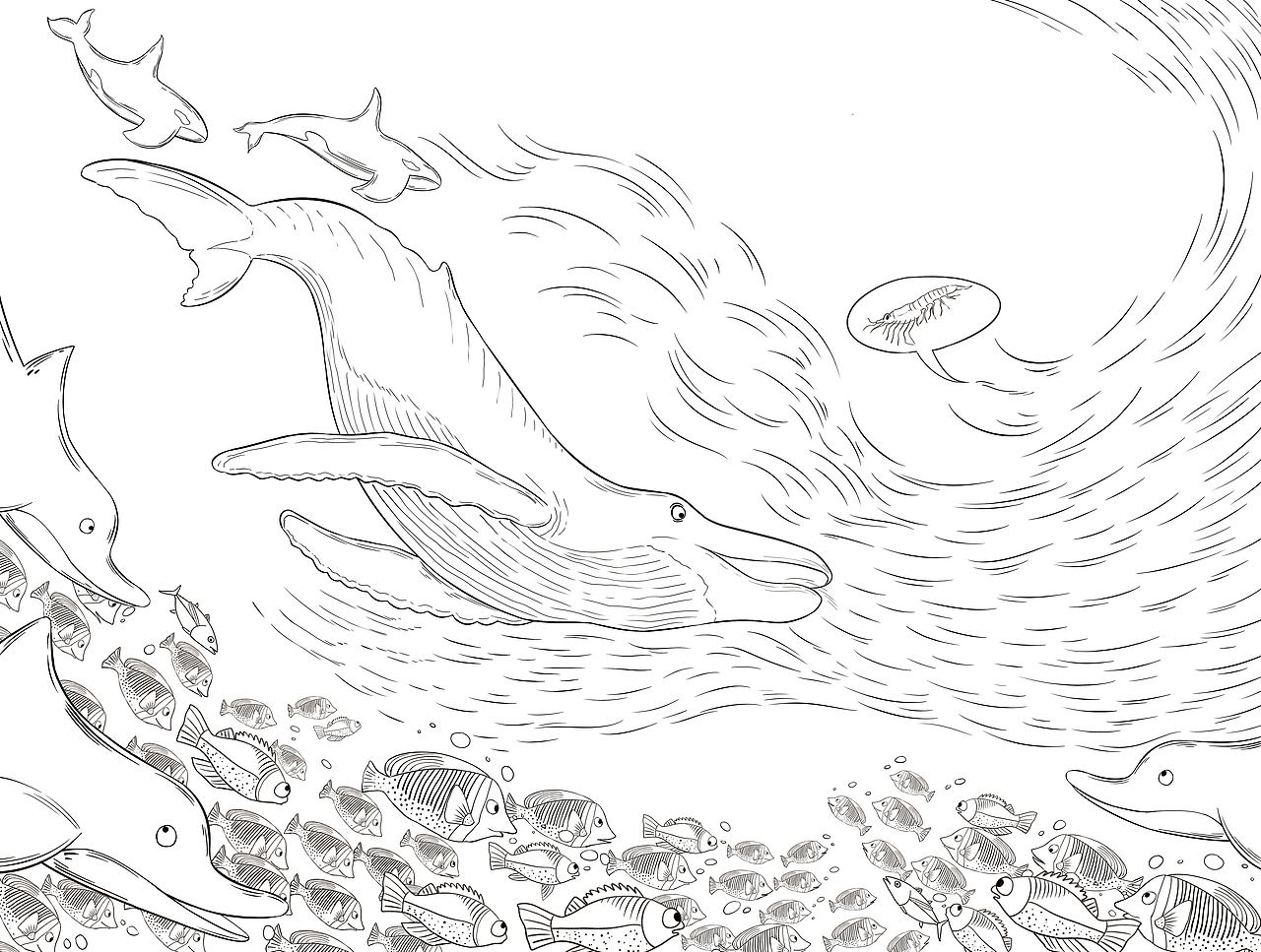 《科学图书馆—海洋动物》| 儿童插画绘本