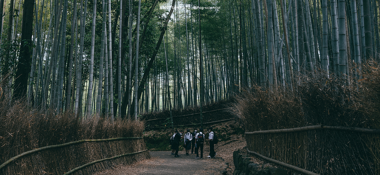 岚山终篇 | Photo | 雾里学家 | 22 | #速写人间烟火#