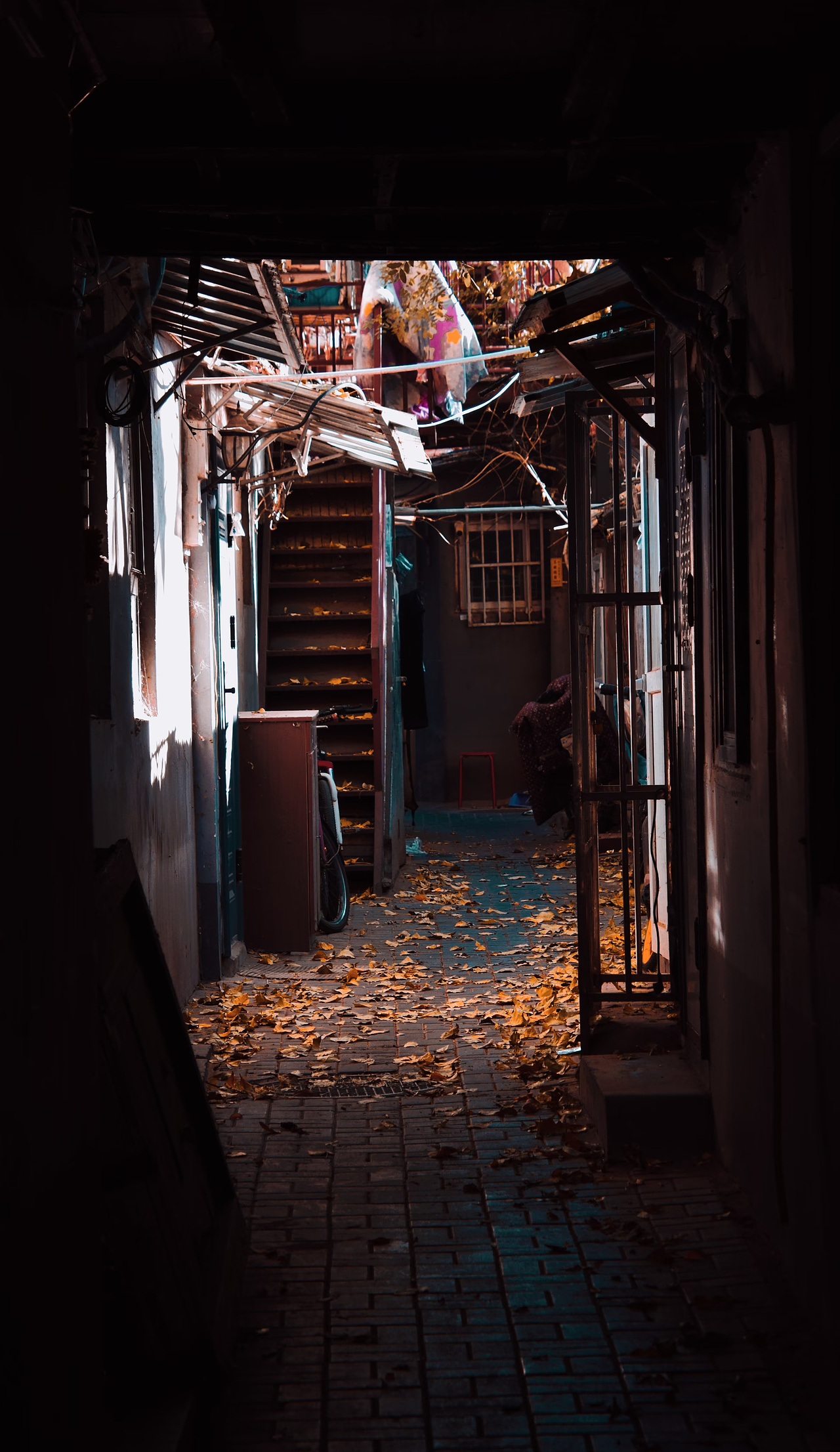 还是喜欢这个季节的胡同