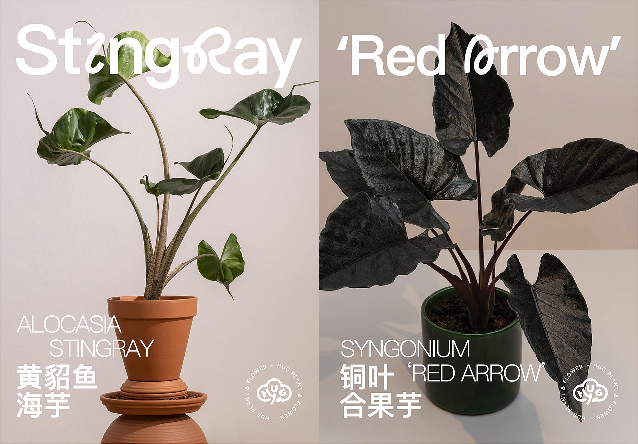 哈耕植物-品牌全案设计