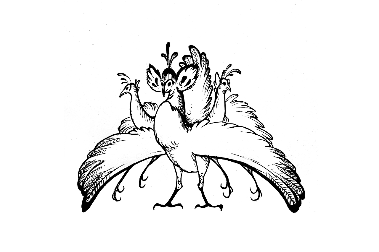 山海经里的自然世界——动物1