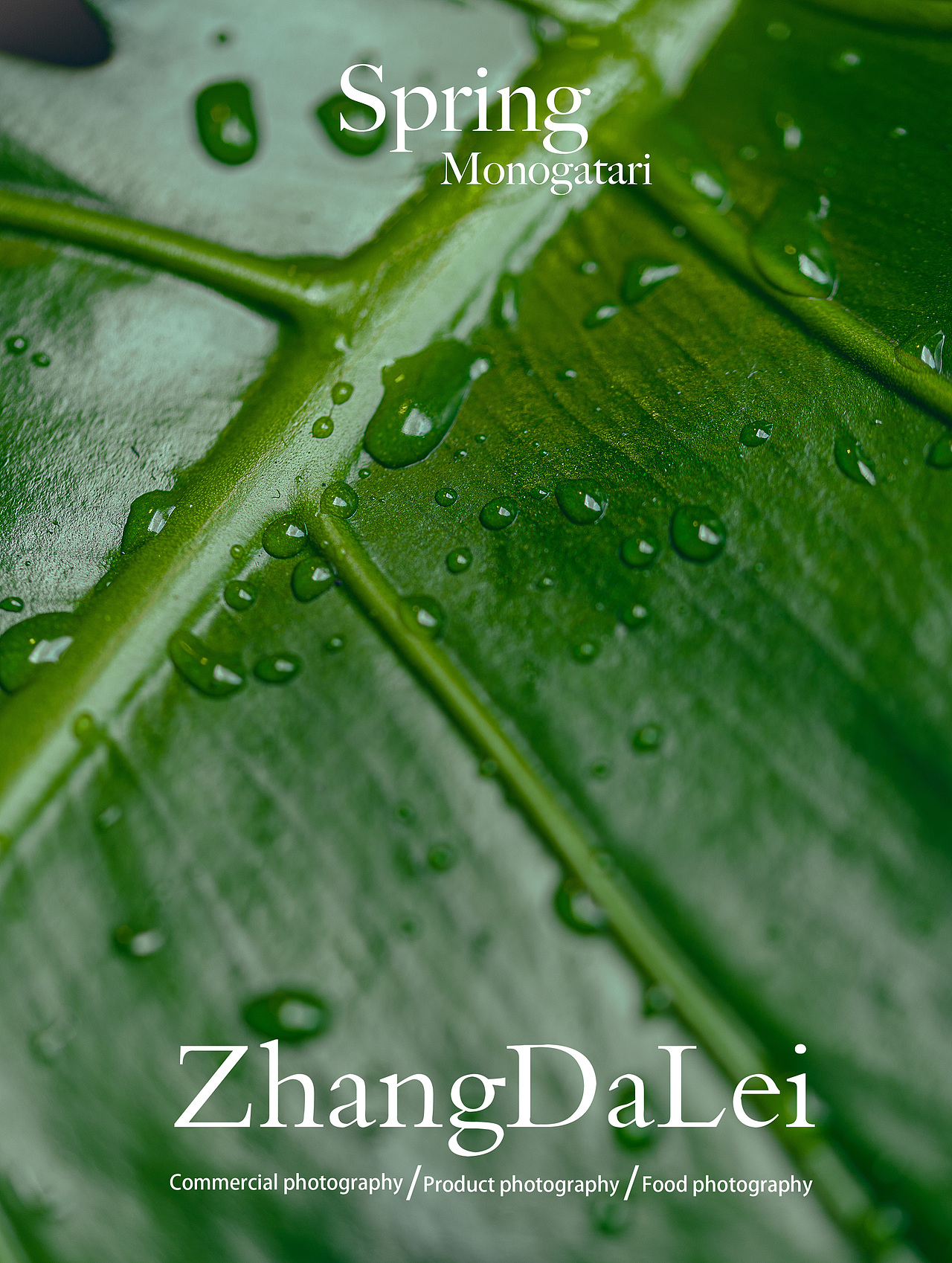 春天物语（图ZMzY2MzgwOTg4） - 其他摄影 - 站酷设计师子菲门视觉原创素材 - 站酷ZCOOL