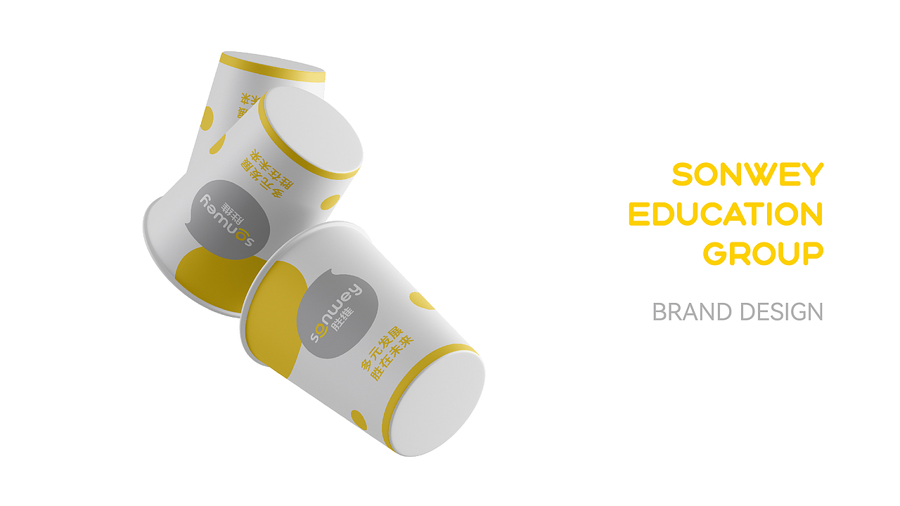 胜维教育集团品牌设计 | ZANCHENG BRAND