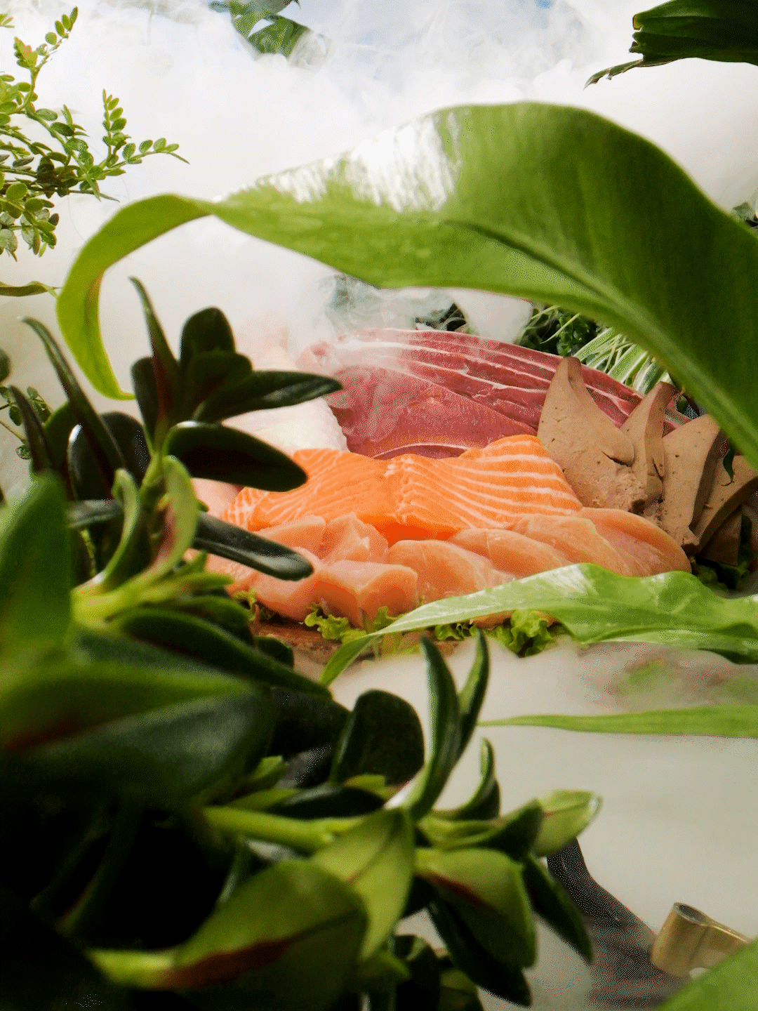 中宠顽皮原生力犬罐头竖版电商视频