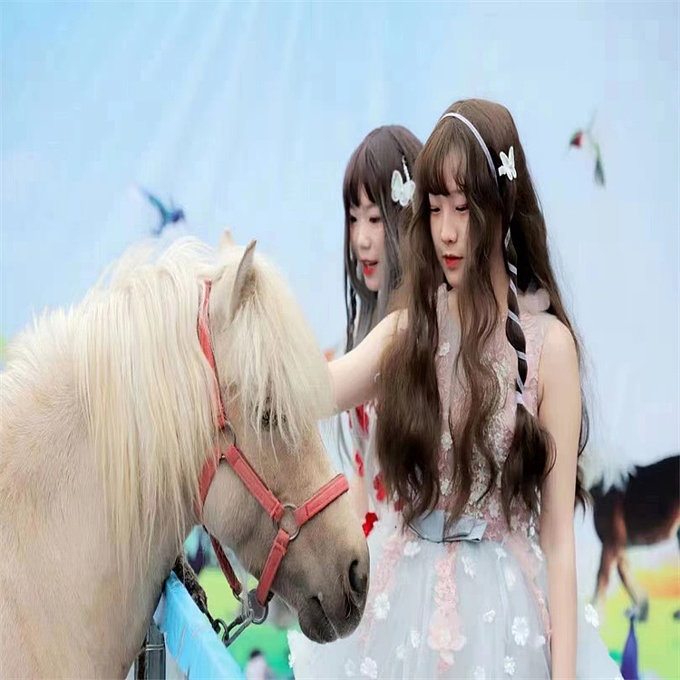 百鸟共舞百鸟展海洋展租赁出售（图ZMjk4OTgwNTEy） - 其他 - 站酷设计师Z029116979原创素材 - 站酷ZCOOL