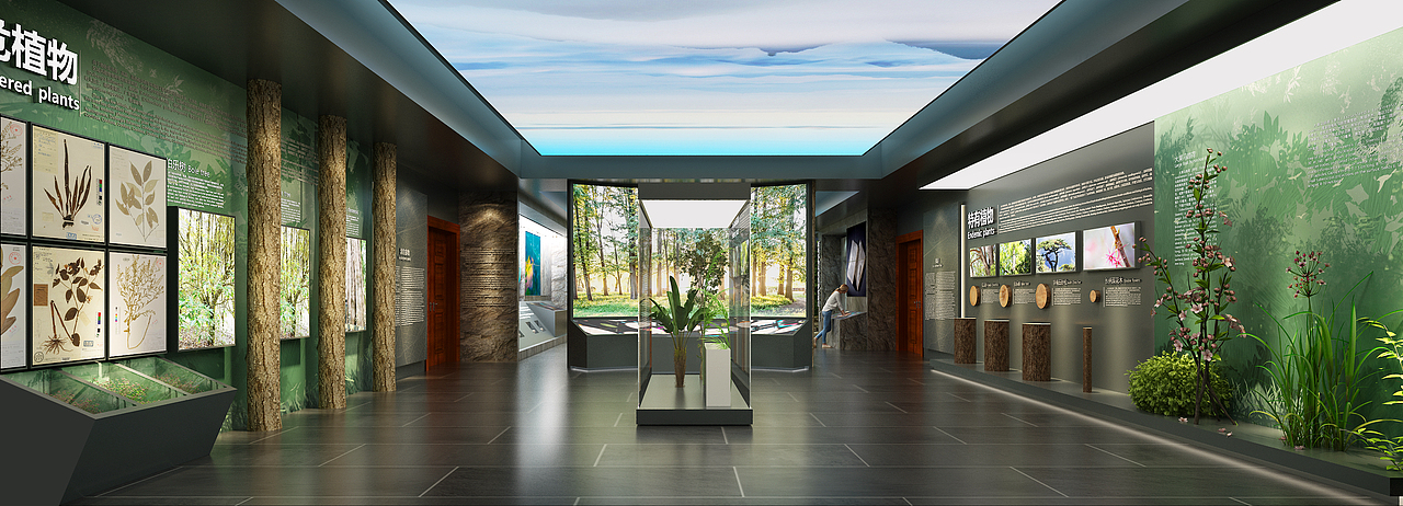 南邻自然博物馆-巍巍南岭-植物馆