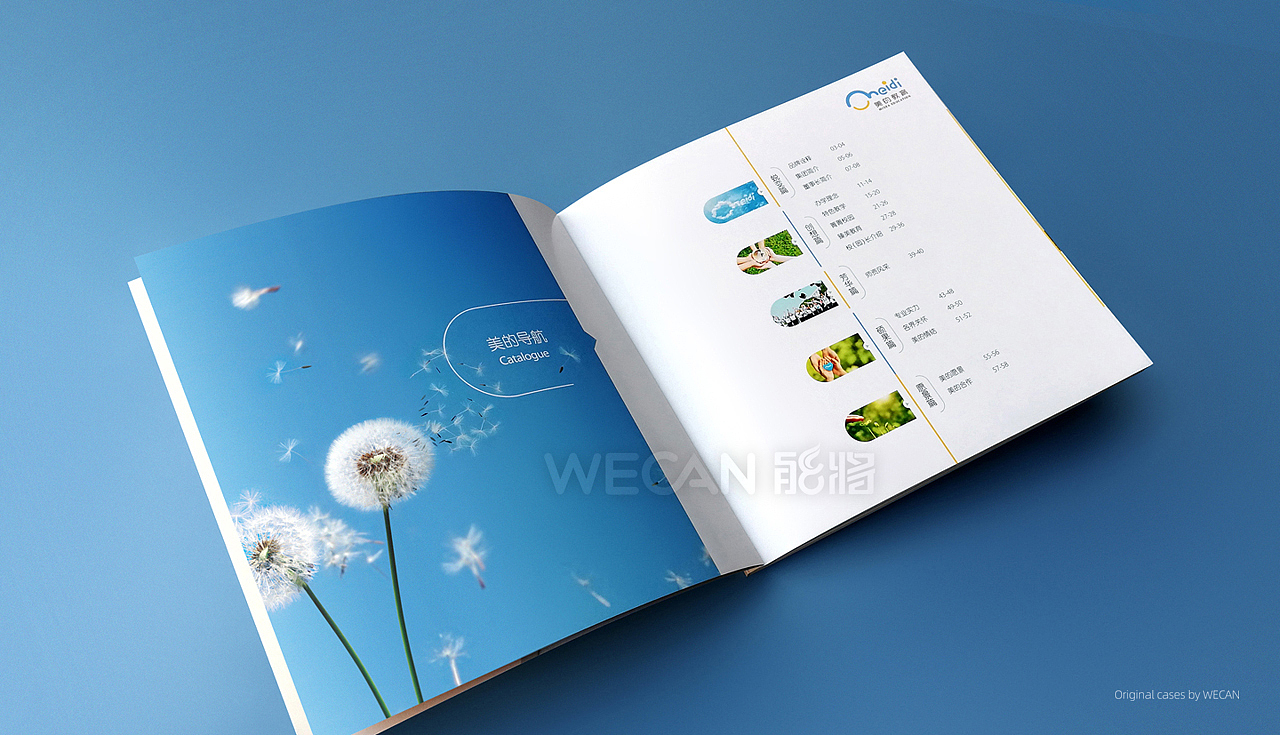教育画册设计|学校画册|幼儿园画册|教育宣传册设计(图ZMzU2NjY0MDA0) - 书籍/画册 - 站酷设计师能将画册设计中心原创素材 - 站酷ZCOOL