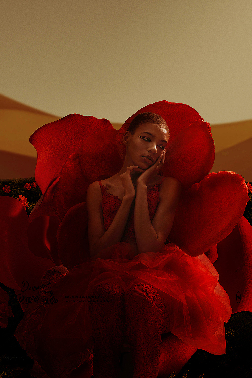 Desert Rose | 沙漠玫瑰（图ZMzY3NDc3NjMy） - 场景 - 站酷设计师这是个W原创素材 - 站酷ZCOOL