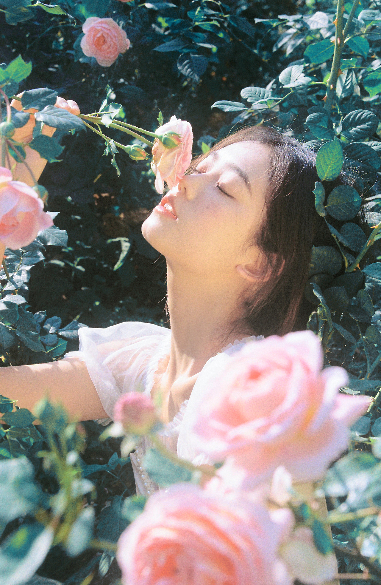 她是独一无二那朵玫瑰