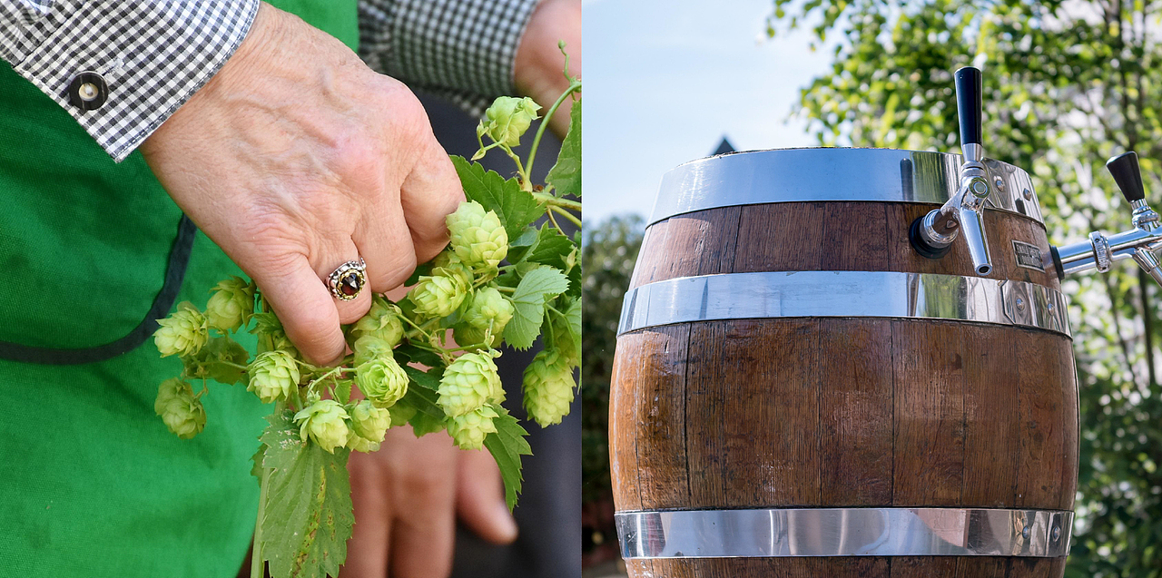 博创／拉古娜啤酒品牌+包装（图ZMzA4OTcwMDky） - 包装 - 站酷设计师博创设计原创素材 - 站酷ZCOOL