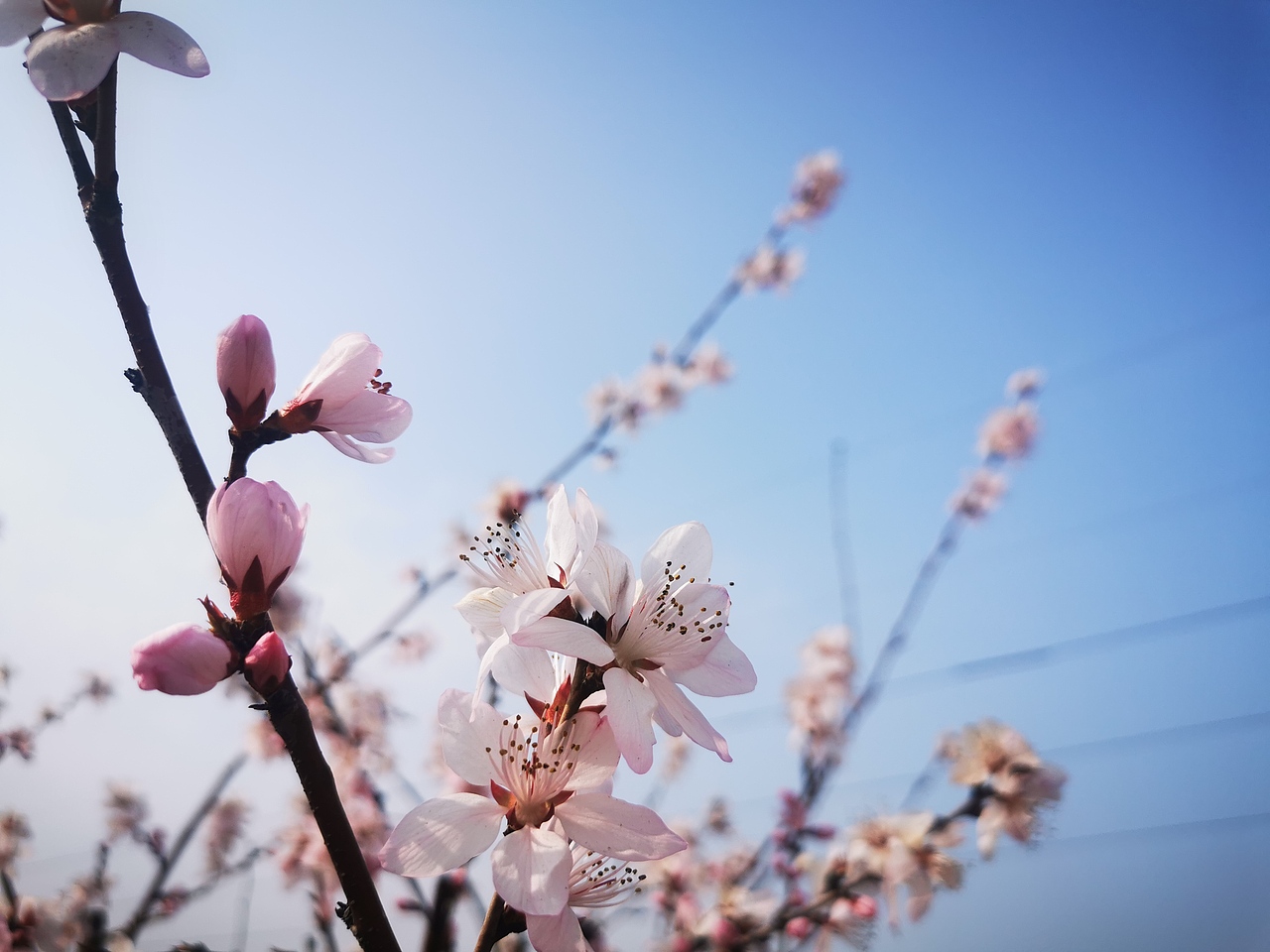 华为手机-部分摄影碎片