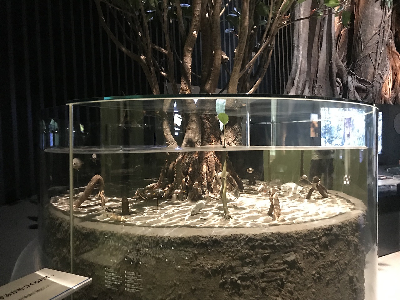东京国立科学博物馆（图ZMzA5OTUwNTk2） - 展陈设计 - 站酷设计师JIANG2015原创素材 - 站酷ZCOOL